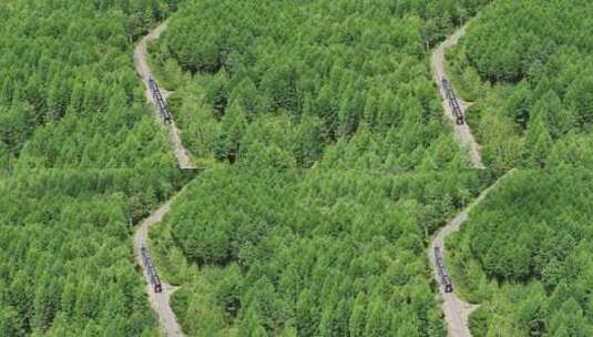 航拍行驶在大兴安岭的森林小火车高清在线视频素材下载