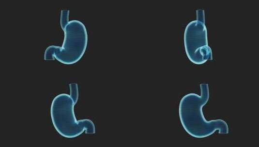 胃部全息影像效果图循环动画3D渲染高清在线视频素材下载