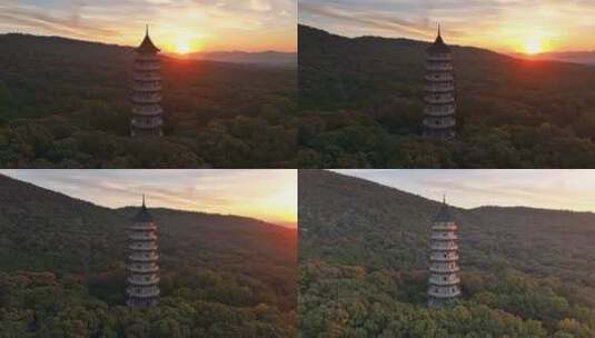 南京 灵谷塔 秋景 南京秋天 秋色 历史建筑高清在线视频素材下载