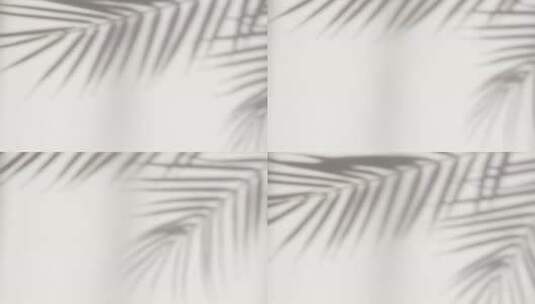 自然棕榈叶树枝落在墙上的抽象剪影阴影白色高清在线视频素材下载