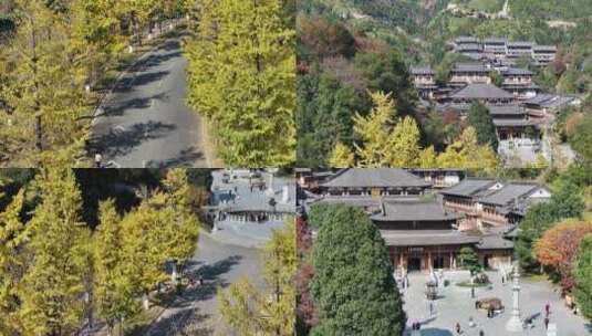 安福寺庙和银杏树航拍特写高清在线视频素材下载
