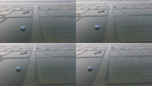 苏州阳澄湖大闸蟹基地4K航拍原素材高清在线视频素材下载