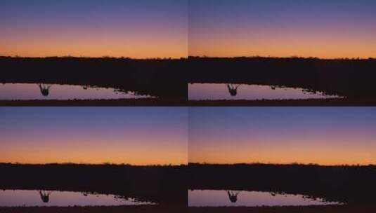 纳米比亚埃托沙国家公园日落高清在线视频素材下载