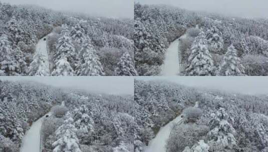 航拍湖北神农架冬季冬天冰雪雪松公路雪景高清在线视频素材下载