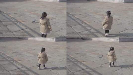 北京故宫午门前鸽子吃食绕飞高清在线视频素材下载