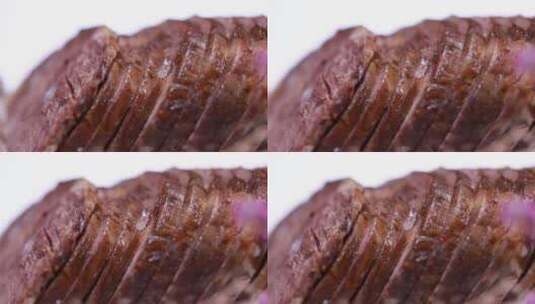 老北京肘子肉定型高清在线视频素材下载