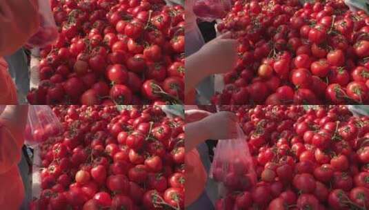 赶大集购买西红柿番茄圣女果买菜高清在线视频素材下载