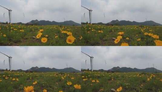 户外自然风光花卉新能源风力发电机高清在线视频素材下载