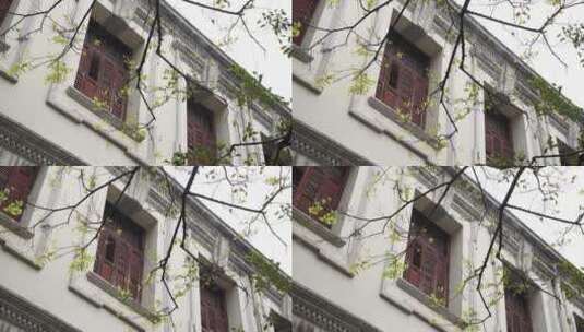 杭州西湖景区浙江图书馆旧址高清在线视频素材下载