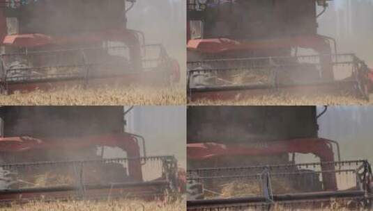 小麦成熟机械收割忙高清在线视频素材下载
