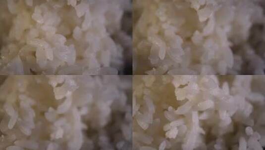 米饭水稻主食大米高清在线视频素材下载