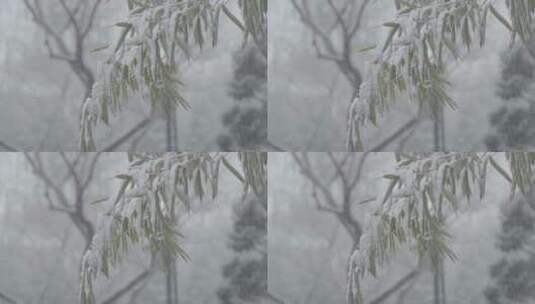 冬季雪景 城市初雪 下雪空镜高清在线视频素材下载