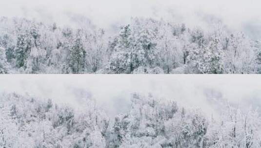 冬季山林雪景航拍高清在线视频素材下载