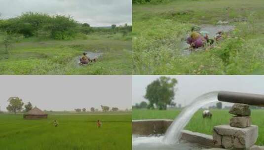 印度北方邦绿色田园农庄2高清在线视频素材下载
