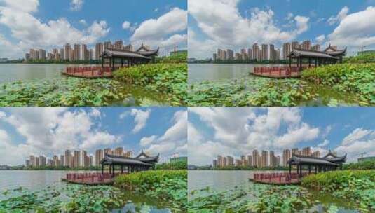 贵港东湖公园延时高清在线视频素材下载