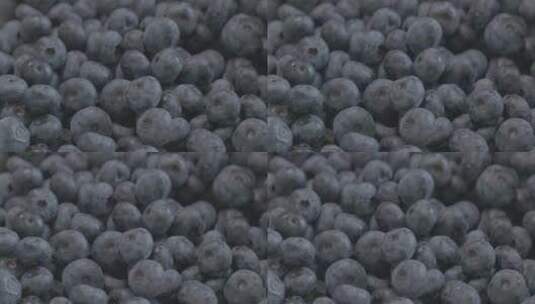 清洗过的蓝莓LOG高清在线视频素材下载