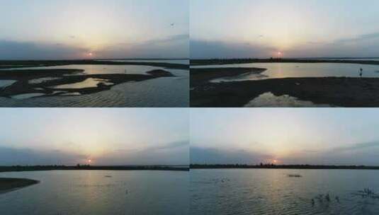 夕阳下的湖边小岛水鸟航拍高清在线视频素材下载