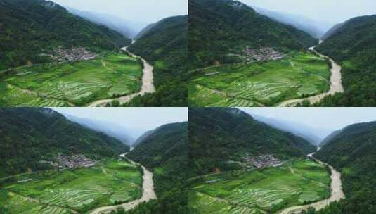 峡谷江边的绿色稻田高清在线视频素材下载