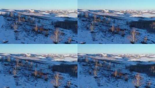 大兴安岭的冬天高清在线视频素材下载