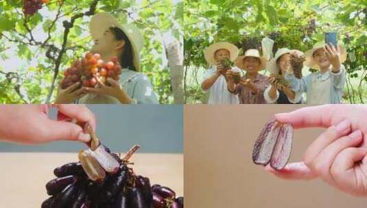 新鲜葡萄合集高清在线视频素材下载