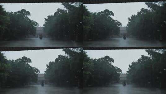 泉州开元寺大雄宝殿桑莲法界雨景下雨天高清在线视频素材下载