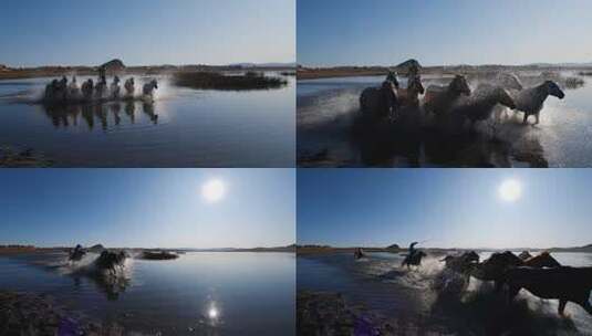 高速拍摄马在水里奔跑素材高清在线视频素材下载