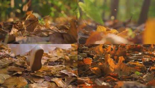 唯美秋天落叶，在落叶上行走脚步4k视频高清在线视频素材下载