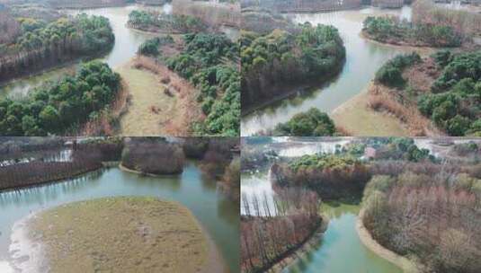 上海松江泖港湿地公园高清在线视频素材下载