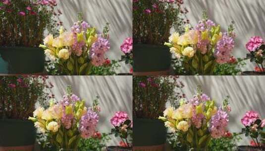 鲜花百合花花朵高清在线视频素材下载