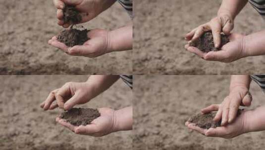 检查土壤的质量和肥料高清在线视频素材下载