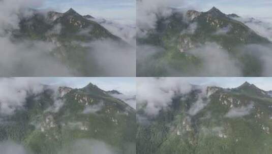 森林湖泊云海山川山脉云雾缭绕 青山绿水高清在线视频素材下载