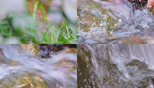 杭州植物园公园小溪流水大自然风景风光视频高清在线视频素材下载