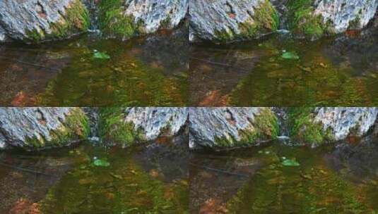 春天阳光下的小溪流石头苔藓与树影高清在线视频素材下载