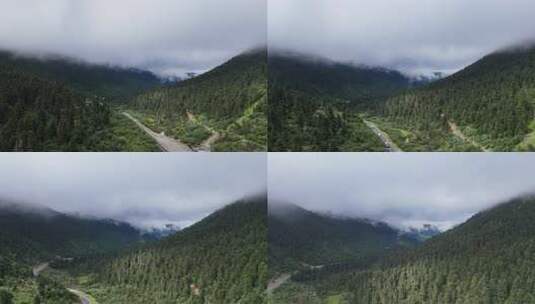 山间云雾缭绕处的公路及茂密森林景观高清在线视频素材下载