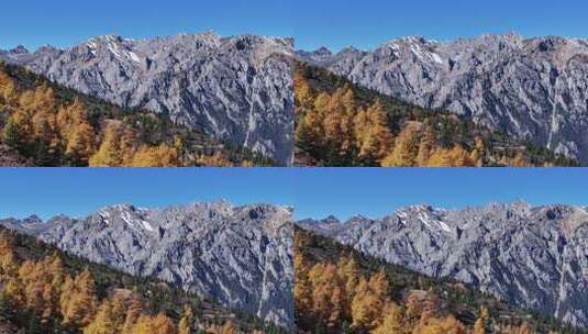 航拍川西格聂南线雪山秋景高清在线视频素材下载