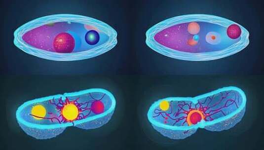 细胞分裂动画形状科学高清在线视频素材下载