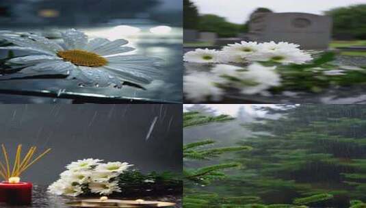 合集-清明节雨天墓地祭奠的宁静与哀思竖版高清在线视频素材下载