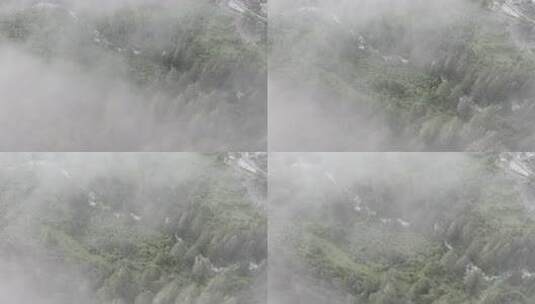 4k超清川西高原航拍湖泊牧场山谷牛群马匹高清在线视频素材下载