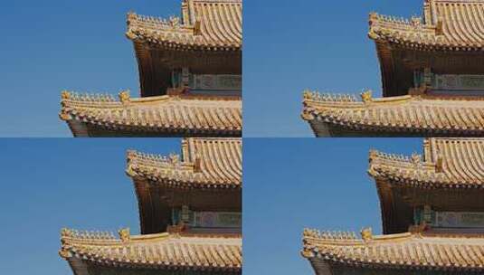 故宫宫殿屋脊兽0273高清在线视频素材下载