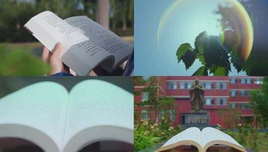 20250923翻书阅读教育学生光影校园B高清在线视频素材下载
