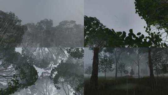 夏季暴风雨雷阵雨下雨极端天气高清在线视频素材下载