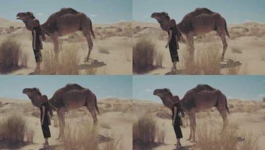 沙漠中女人和骆驼高清在线视频素材下载