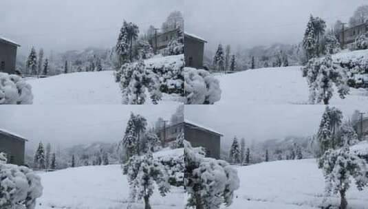 雪景 踏雪进山 雪中行 大雪高清在线视频素材下载