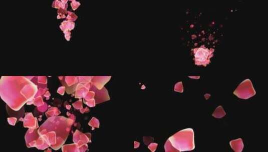 玫瑰花瓣转场动画高清在线视频素材下载