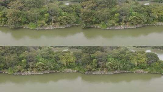 广东东江生态保护区高清在线视频素材下载