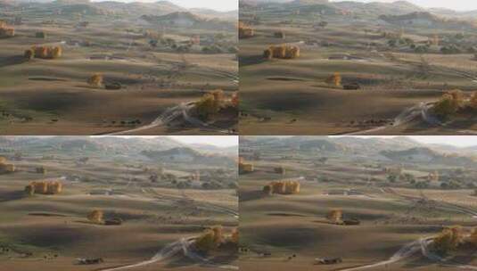 内蒙古乌兰布统秋天大草原迷人的风景高清在线视频素材下载