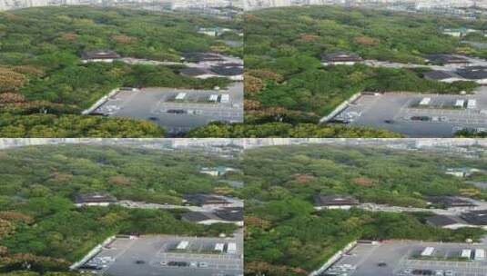 武汉城市公园绿化竖屏航拍高清在线视频素材下载