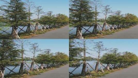 快进X10 旅游景区武汉东湖唯美道路竖屏高清在线视频素材下载