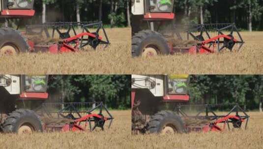 小麦增产丰收高清在线视频素材下载