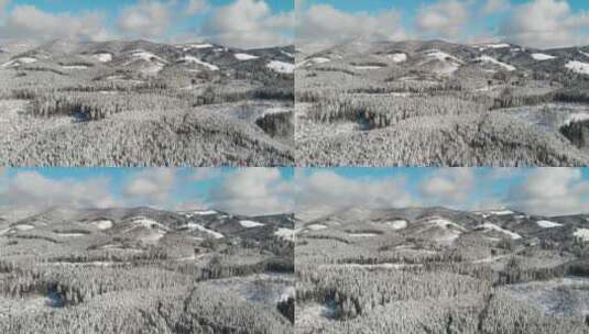 冬季的森林高清在线视频素材下载